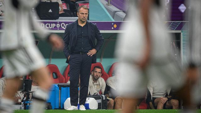 1670069383188043521.jpg 1670069383188043521.jpg